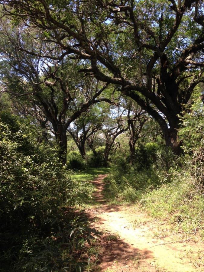Lebombo Wattle Cottages Hluhluwe Εξωτερικό φωτογραφία