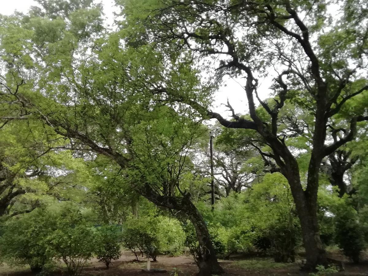 Lebombo Wattle Cottages Hluhluwe Εξωτερικό φωτογραφία