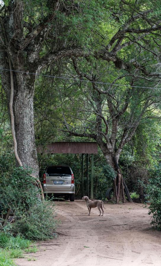 Lebombo Wattle Cottages Hluhluwe Εξωτερικό φωτογραφία