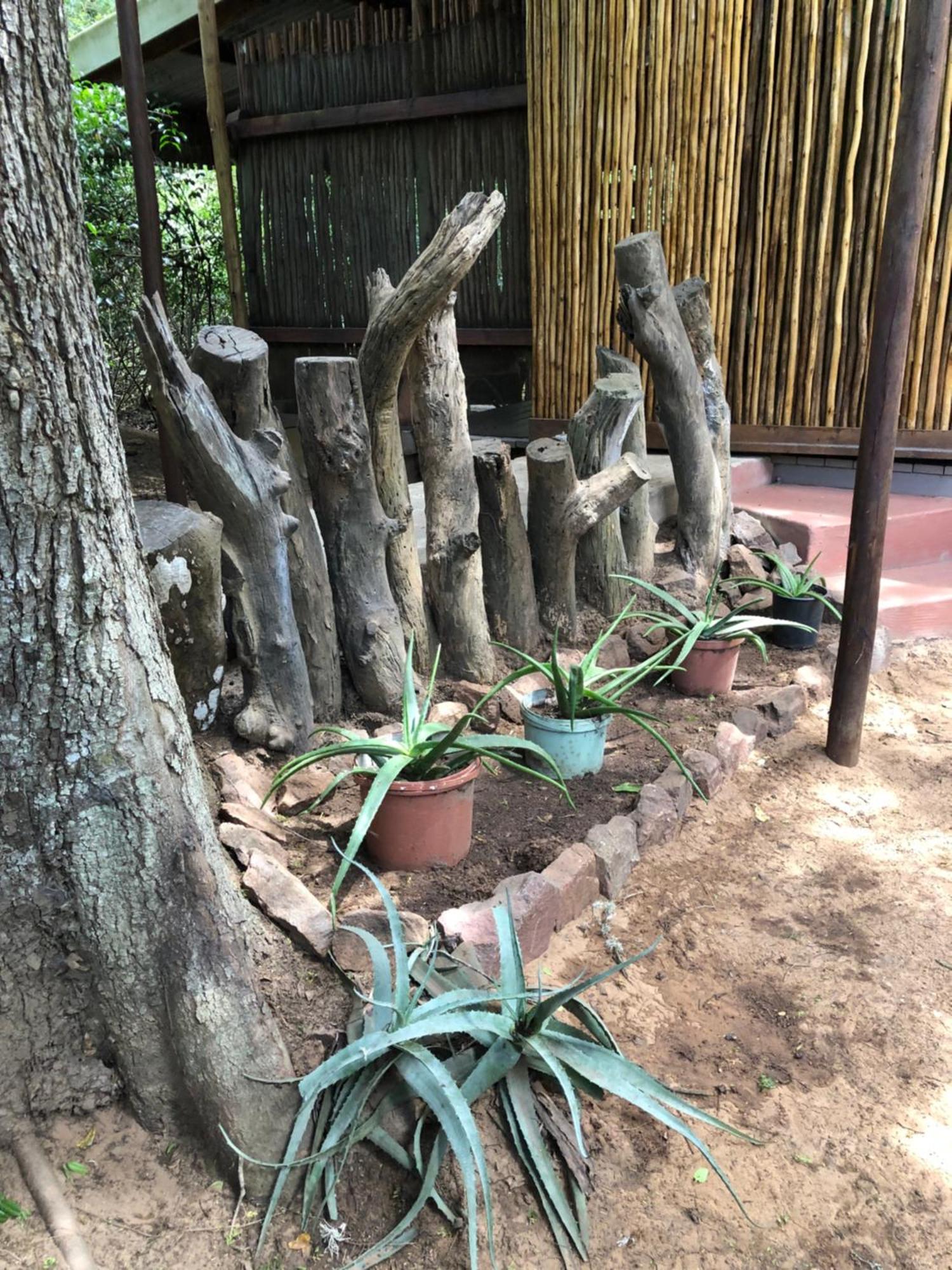 Lebombo Wattle Cottages Hluhluwe Εξωτερικό φωτογραφία